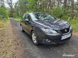 Szary Używany 2008 Seat Ibiza Hatchback | 15 999 zł (Dość drogi)