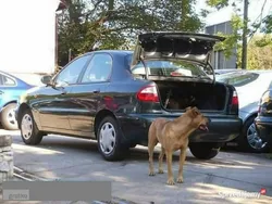 Bordowy Używany 2002 Chevrolet Lanos Sedan/Limuzyna | 8600 zł