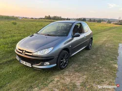 Szary Używany 2005 Peugeot 206 Hatchback | 7900 zł (Uczciwa cena)
