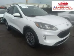 Biały Używany 2020 Ford Kuga SEL SUV | 113 000 zł