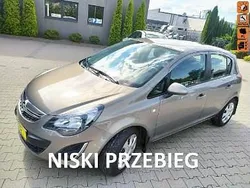 Beżowy Używany 2014 Opel Corsa Hatchback | 22 900 zł (Super Cena)