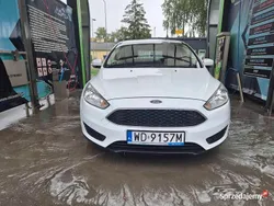 Używany 2015 Ford Focus | 24 900 zł (Dobra cena)