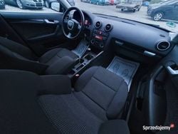 Używany 2005 Audi A3 | 18 500 zł (Drogi)