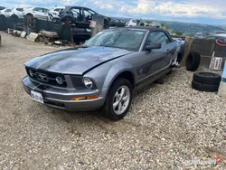 Szary Używany 2007 Ford Mustang Kabriolet | 39 500 zł