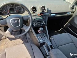 Używany 2005 Audi A3 Hatchback | 16 300 zł (Uczciwa cena)
