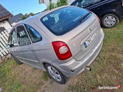 Beżowy Używany 2005 Citroën Xsara Picasso Minivan | 2200 zł (Dobra cena)