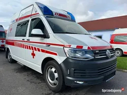 VW T6.1