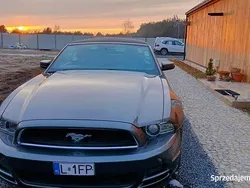 Używany 2013 Ford Mustang | 66 000 zł (Drogi)