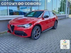 Czerwony Nowe 2024 Alfa Romeo Stelvio Veloce SUV | 239 900 zł