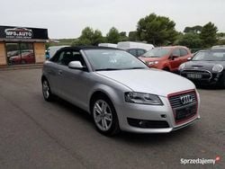 Używany 2009 Audi A3 Kabriolet | 24 900 zł (Dość drogi)
