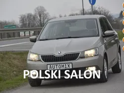 Brązowy Używany 2016 Skoda Fabia Kombi | 17 300 zł (Drogi)