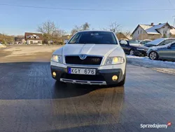 Używany 2008 Skoda Octavia | 18 999 zł (Drogi)
