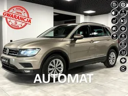 Złoty (metalik) Używany 2019 VW Tiguan SUV | 98 000 zł (Drogi)