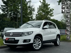 Biały Używany 2016 VW Tiguan SUV | 49 900 zł (Super Cena)