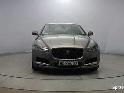 Szary Używany 2019 Jaguar XF Prestige Sedan/Limuzyna | 114 800 zł