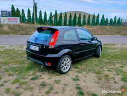 Używany 2005 Ford Fiesta S Hatchback | 6000 zł