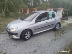 Używany 2002 Peugeot 206 | 2600 zł (Uczciwa cena)