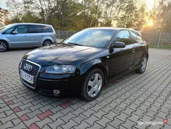Używany 2006 Audi A3 Hatchback | 6200 zł (Dobra cena)