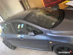 Używany 2006 Peugeot 307 | 7000 zł (Drogi)