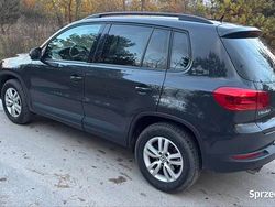 Szary Używany 2016 VW Tiguan SUV | 52 500 zł (Dobra cena)