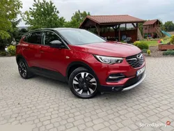 Używany 2019 Opel Grandland X Business Edition SUV | 65 900 zł (Uczciwa cena)