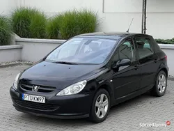 Używany 2003 Peugeot 307 | 5000 zł (Uczciwa cena)
