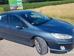 Używany 2005 Peugeot 407 | 4000 zł (Uczciwa cena)