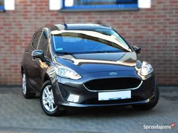 Szary Używany 2019 Ford Fiesta Hatchback | 49 900 zł (Drogi)