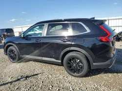 Szary Używany 2023 Honda CR-V SUV | 109 700 zł