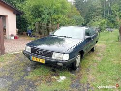 Granatowy Używany 1986 Audi 100 Sedan/Limuzyna | 12 500 zł