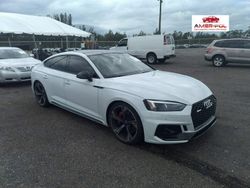 Biały Używany 2019 Audi RS5 Sedan/Limuzyna | 215 000 zł