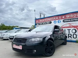 Używany 2004 Audi A3 Comfort | 6990 zł (Dobra cena)