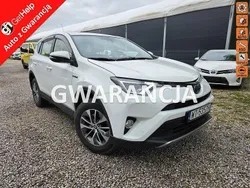 Biały Używany 2017 Toyota RAV4 Hybrid SUV | 55 900 zł (Super Cena)