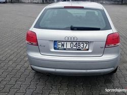 Używany 2007 Audi A3 | 10 000 zł (Super Cena)
