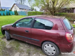 Bordowy Używany 2003 Nissan Almera Hatchback | 1650 zł