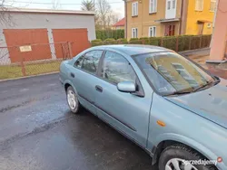 Używany 2001 Nissan Almera | 6500 zł