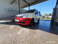 Używany 2009 Fiat Panda Hatchback | 2000 zł (Super Cena)