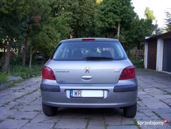 Używany 2003 Peugeot 307 | 4500 zł (Uczciwa cena)