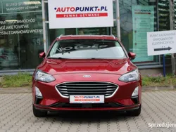 Używany 2020 Ford Focus | 64 500 zł (Dość drogi)