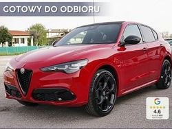 Czerwony Nowe 2025 Alfa Romeo Stelvio SUV | 254 600 zł