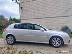 Szary Używany 2005 Opel Signum Kombi | 5700 zł (Uczciwa cena)