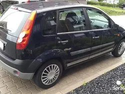 Używany 2007 Ford Fiesta Hatchback | 6990 zł (Uczciwa cena)