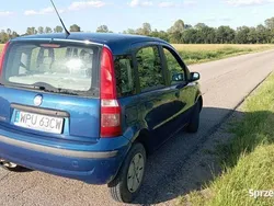 Używany 2006 Fiat Panda Hatchback | 3000 zł (Super Cena)
