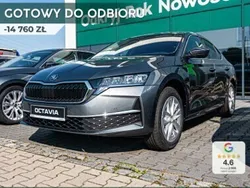 Szary Nowe 2024 Skoda Octavia Selection Sedan/Limuzyna | 135 010 zł (Dobra cena)