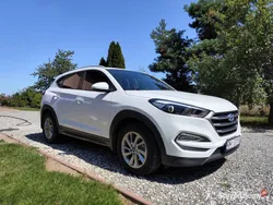 Biały Używany 2016 Hyundai Tucson SUV | 67 900 zł (Uczciwa cena)