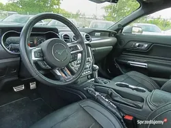 Używany 2021 Ford V8 Performance Edition | 149 900 zł