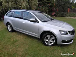 Używany 2020 Skoda Octavia | 47 800 zł (Dobra cena)