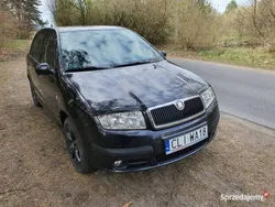 Czarny Używany 2005 Skoda Fabia Hatchback | 9900 zł (Drogi)