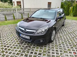 Używany 2008 Opel Signum Kombi | 8500 zł (Uczciwa cena)
