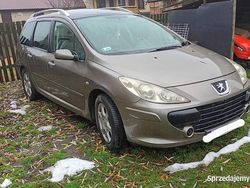 Brązowy Używany 2005 Peugeot 307 Kombi | 6500 zł (Dość drogi)